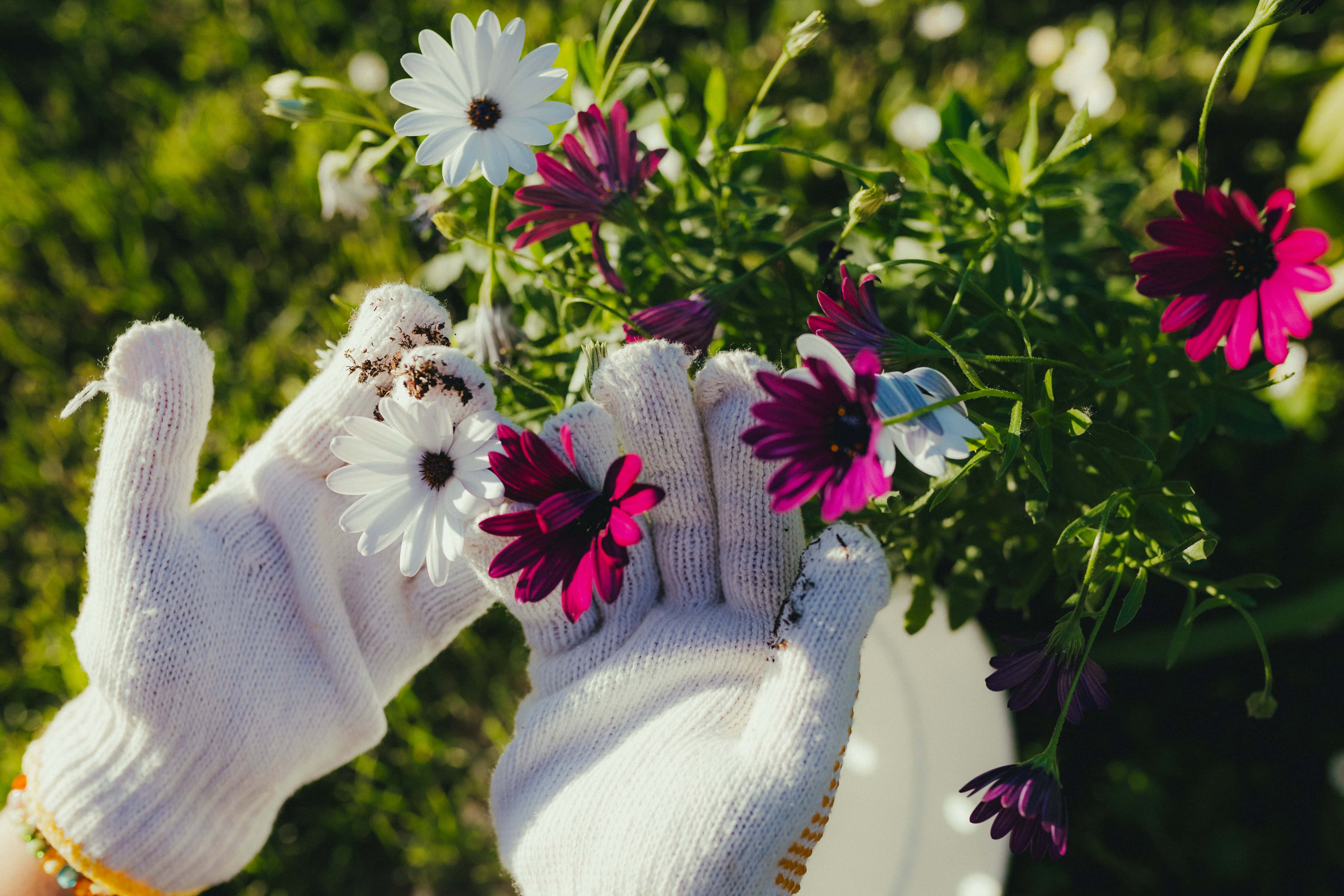 Hands-on gardening activity in a community setting